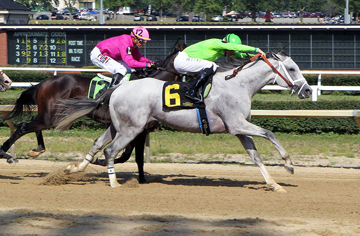 Silver Dust wins the West Virginia Governor's Cup at Mountaineer Park