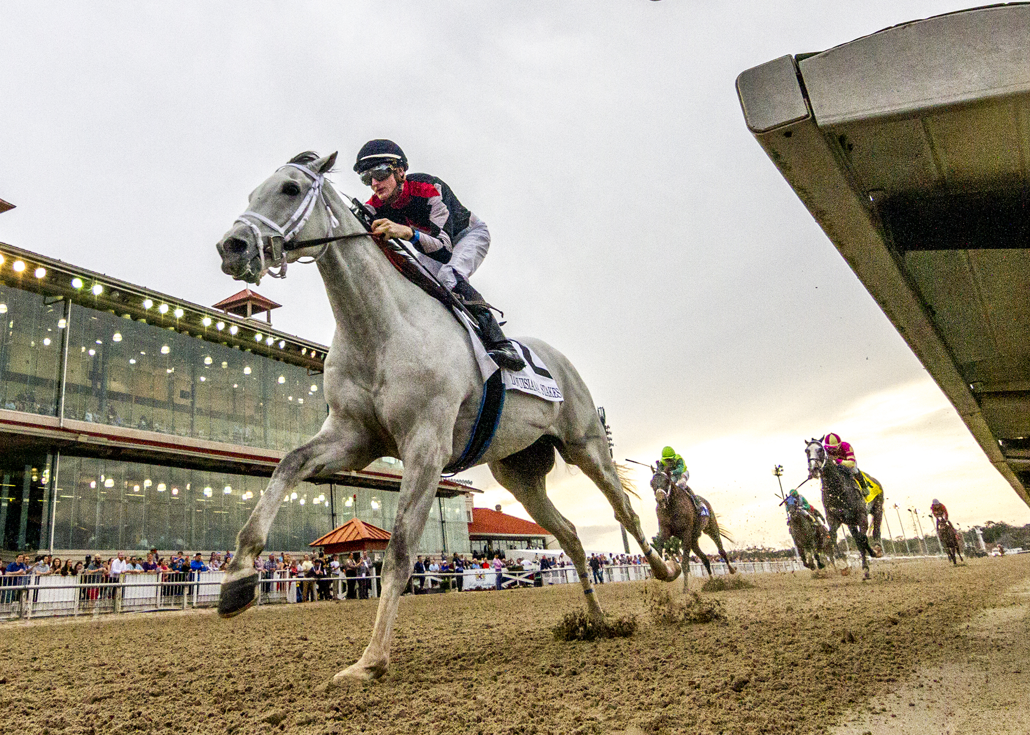 Silver Dust wins the 2020 Louisiana Stakes