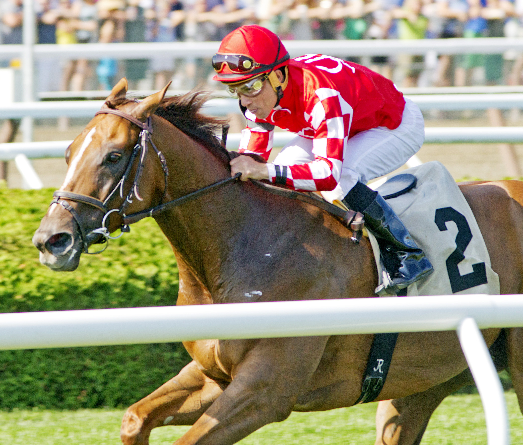 Silver Freak wins an allowance race