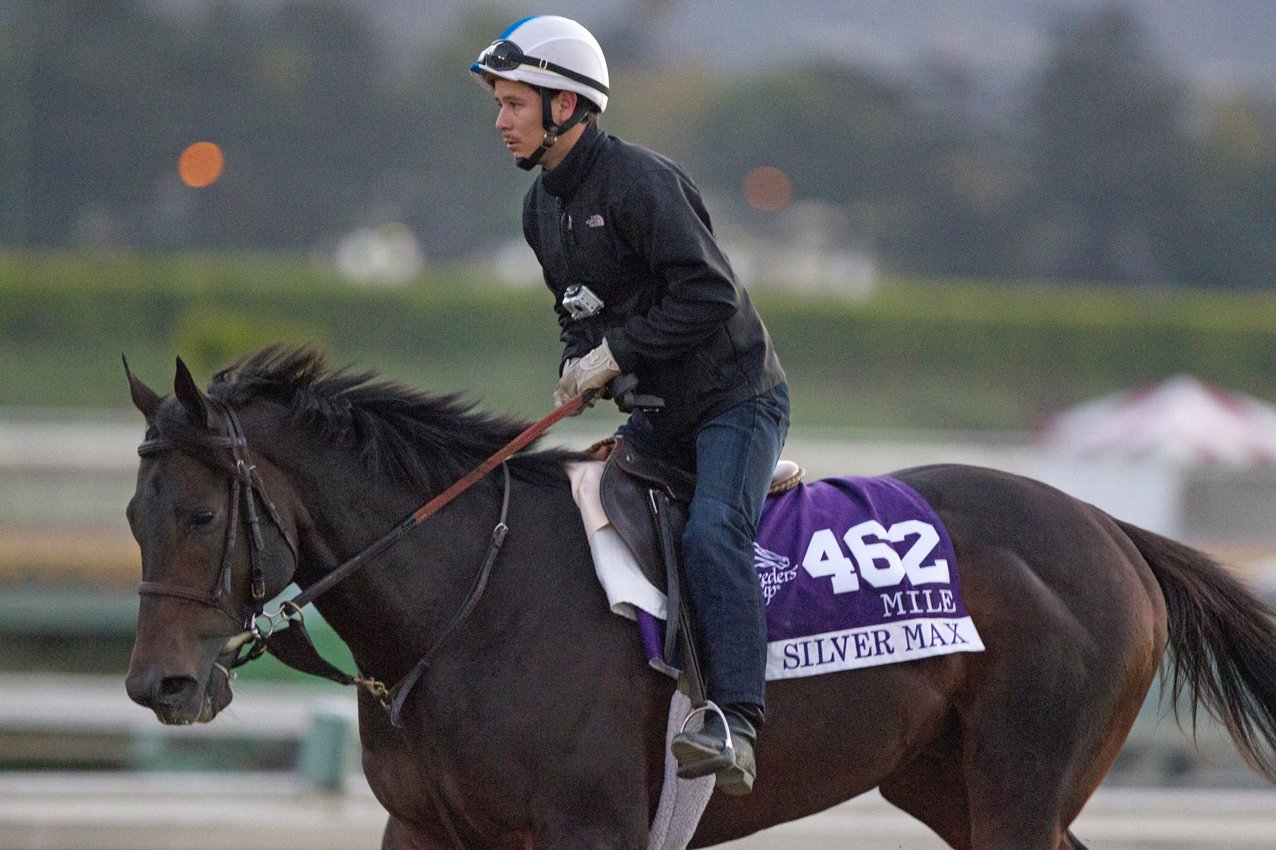 Silver Max at Santa Anita Park