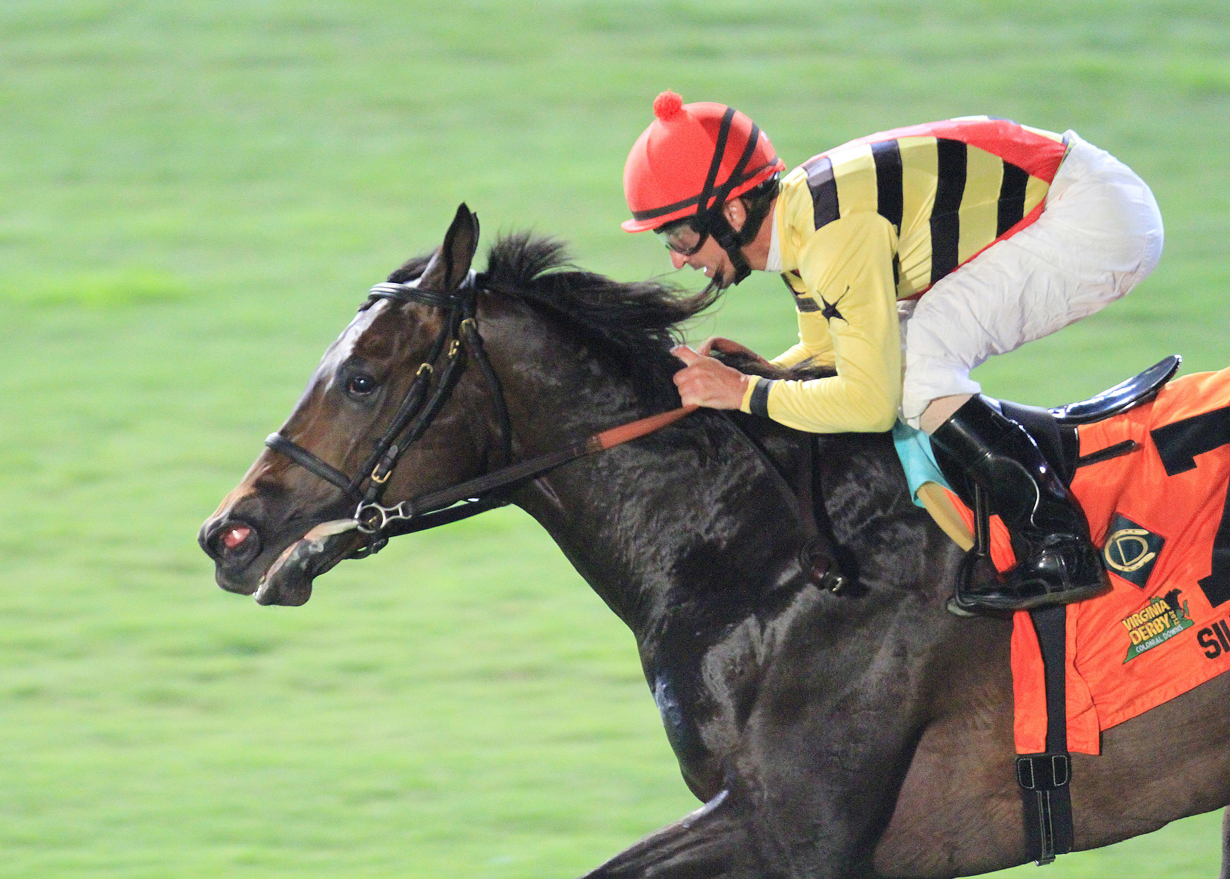 Silver Max, Virginia Derby