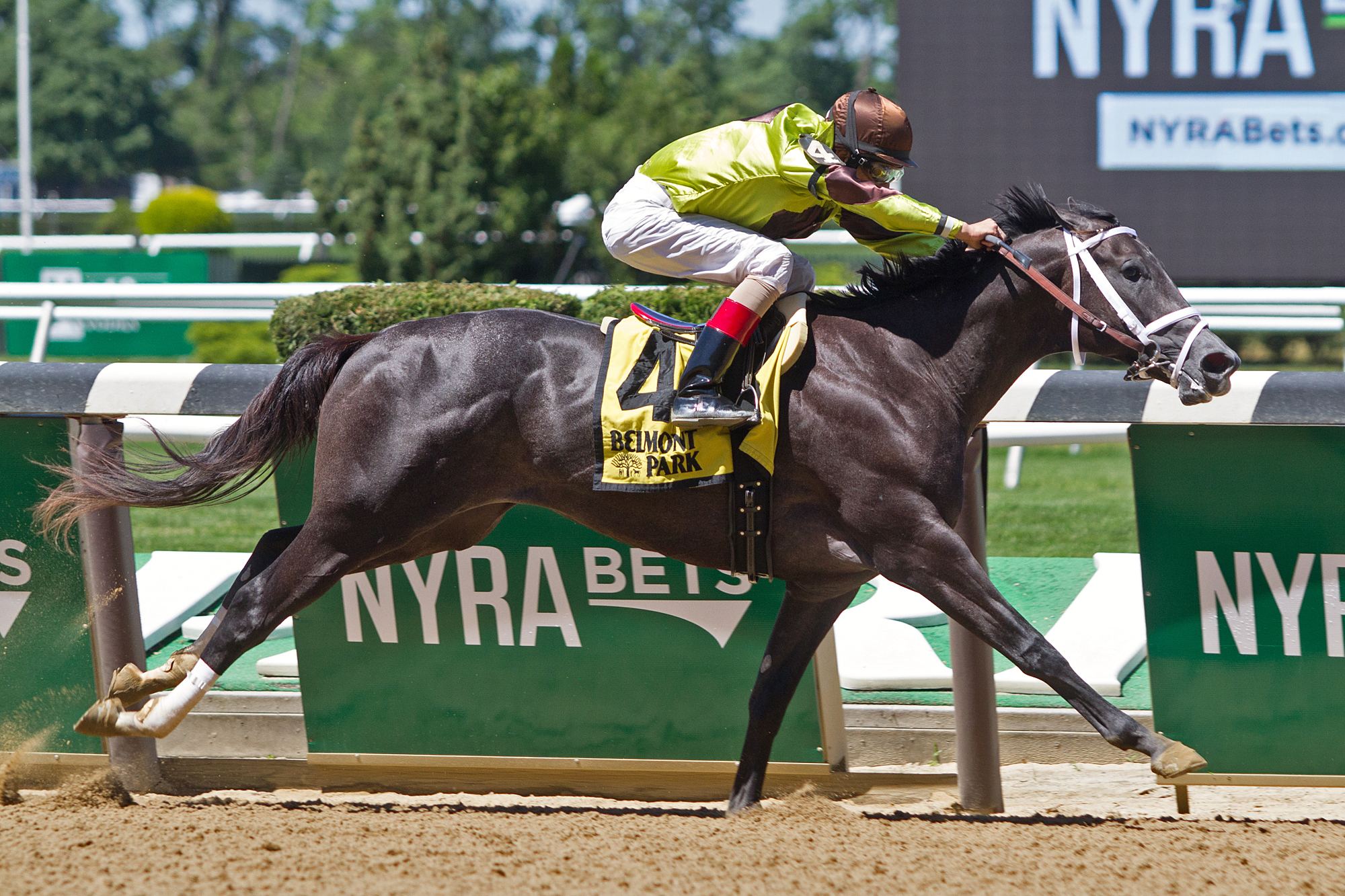 Silver Mission wins the Tremont
