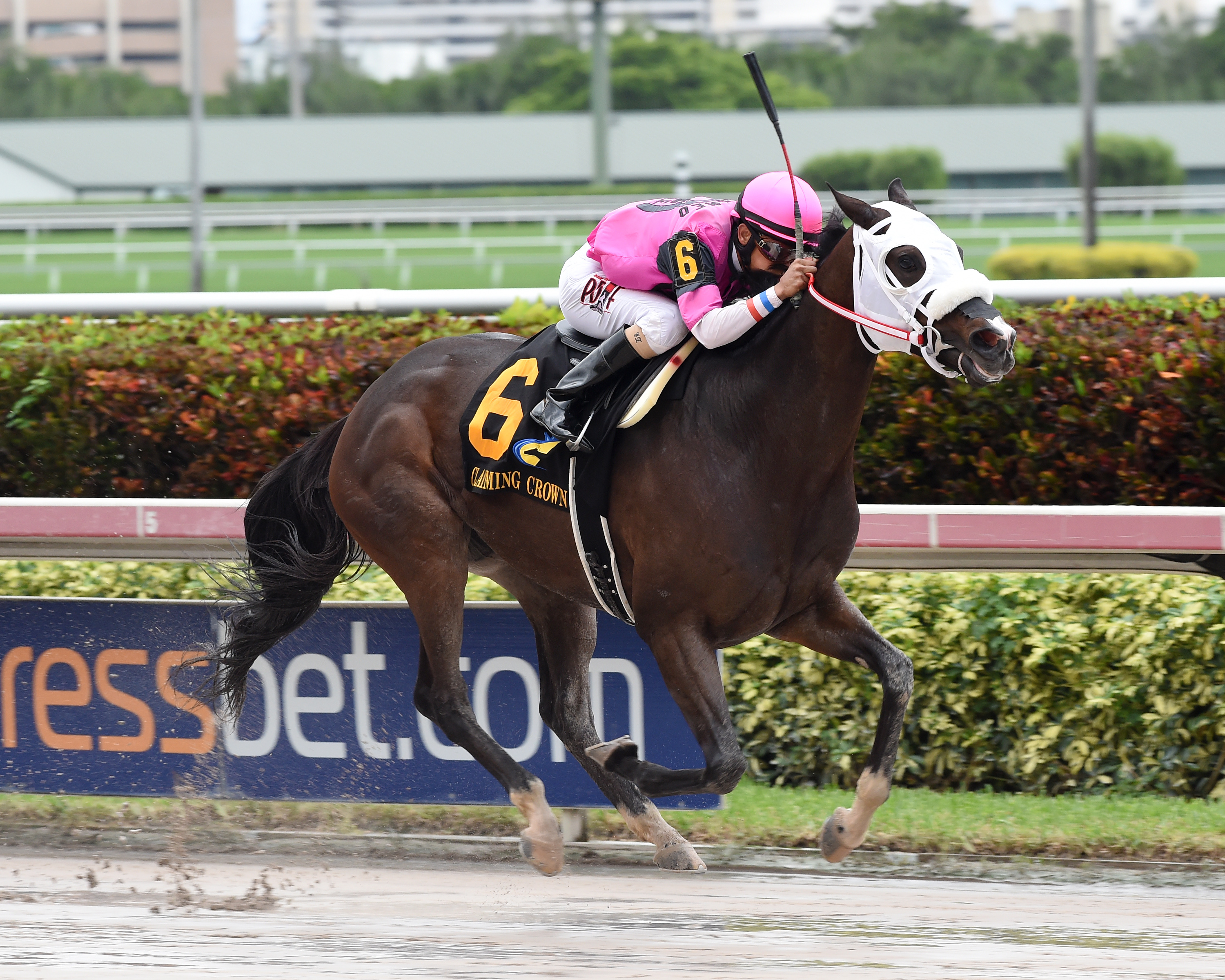 Silver Sashay wins 2015 Claiming Crown Distaff Dash