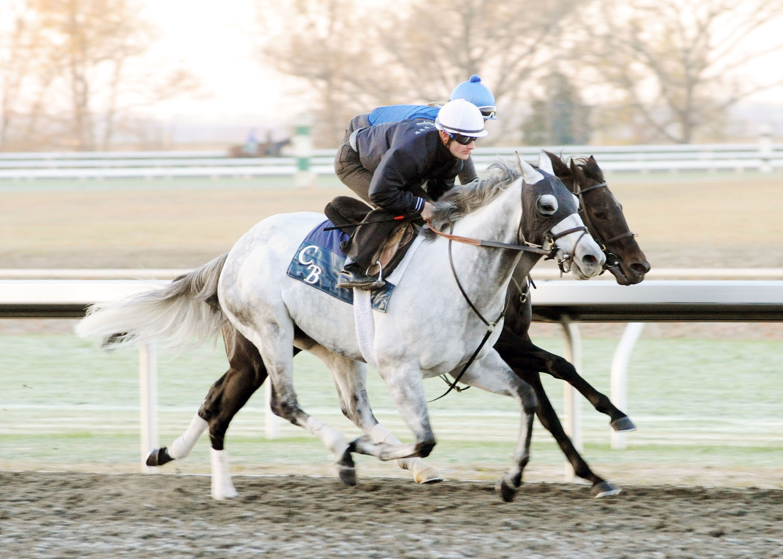 Silver Timber 10-30-2010