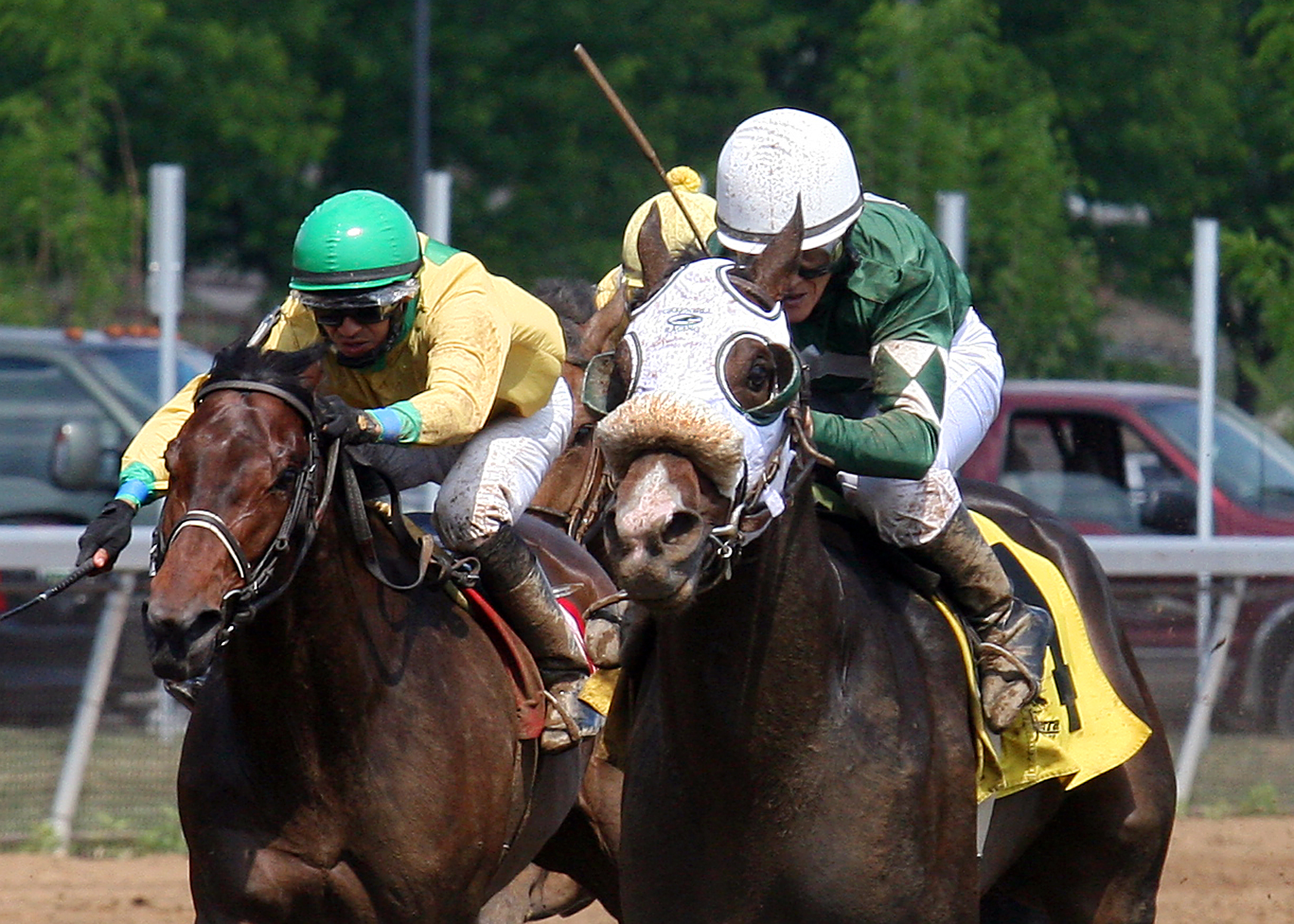 Silver Tongued wins a 2014 allowance race