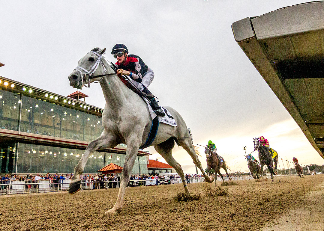Silver Dust wins the 2020 Louisiana Stakes at Fair Grounds