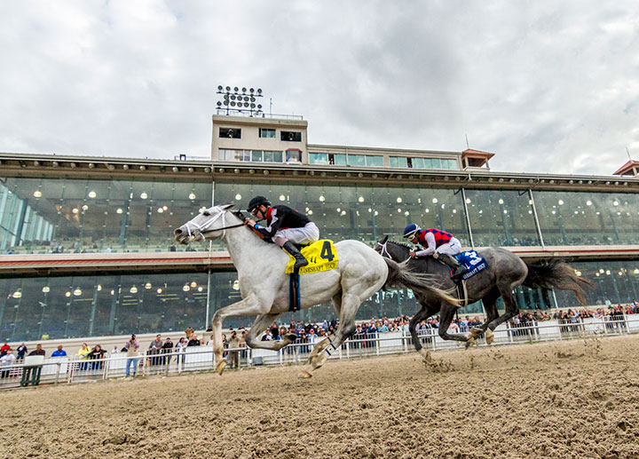 Silver Dust wins the 2020 Mineshaft Stakes at Fair Grounds