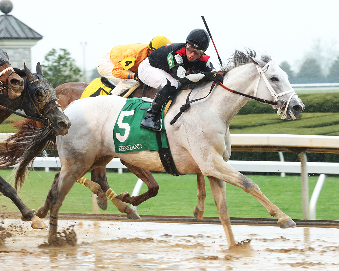 Silver Dust wins the 2020 Ben Ali Stakes at Keeneland