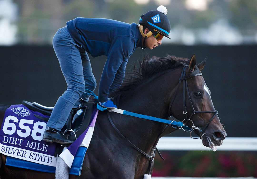 Silver State trains at Del Mar on Oct. 29