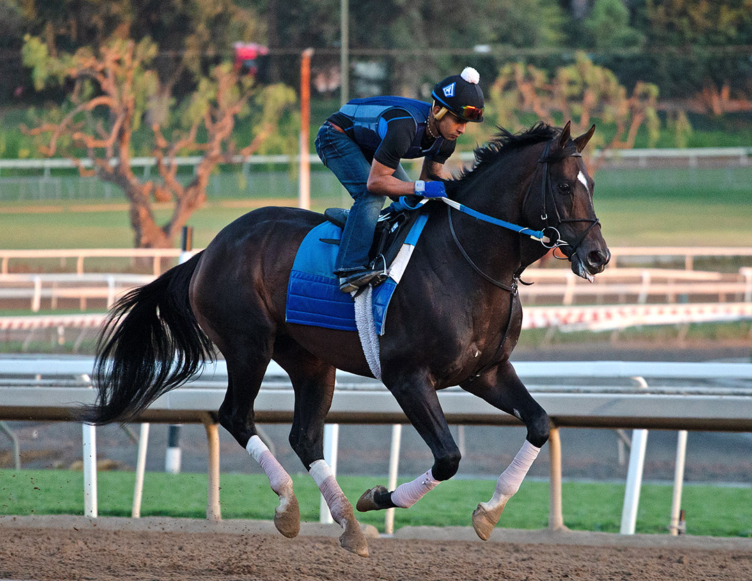 Silver State trains at Santa Anita on Oct. 3