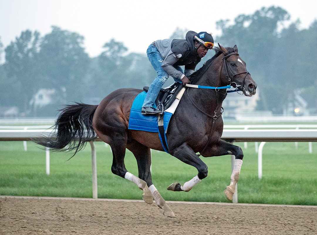 Silver State trains at Saratoga Race Course on July 20