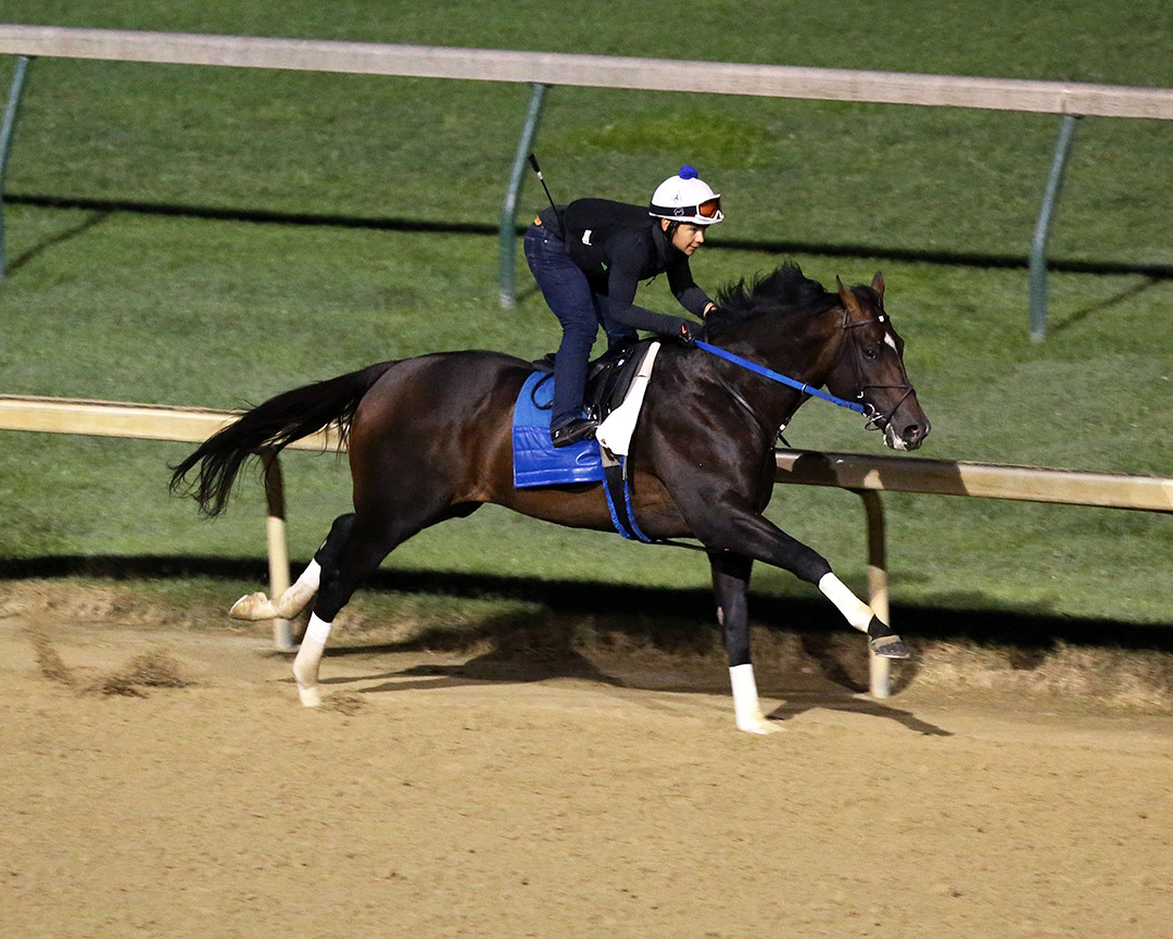 Silver State trains at Churchill Downs in August 2020