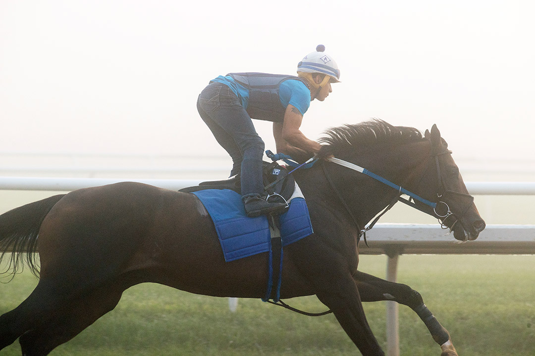 Silver State trains at Saratoga Race Course on July 15