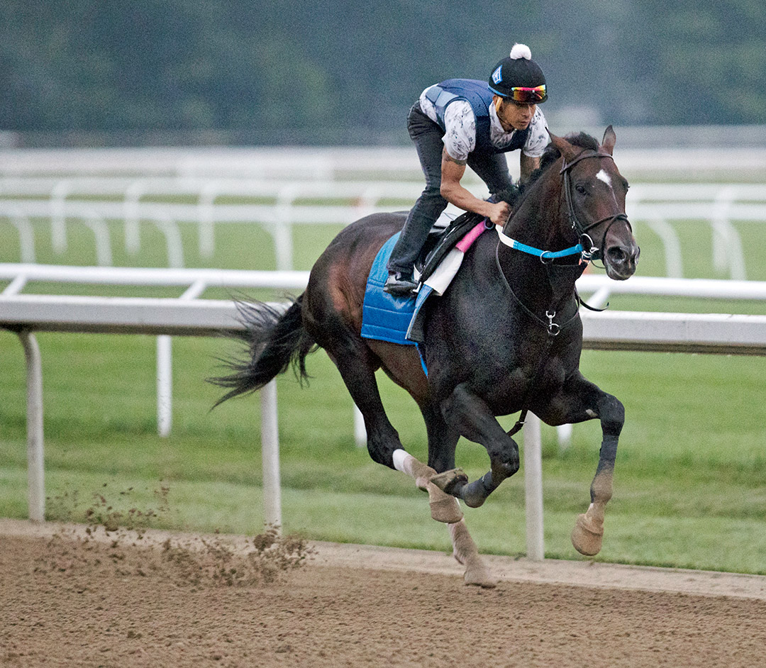 Silver State trains at Saratoga Race Course on July 28