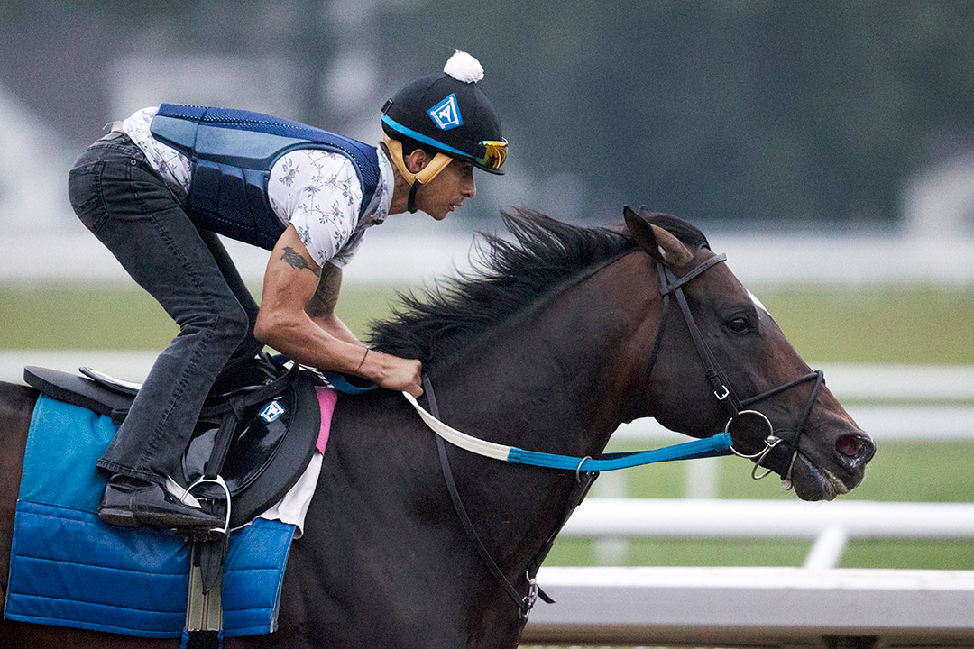 Silver State trains at Saratoga Race Course on July 28