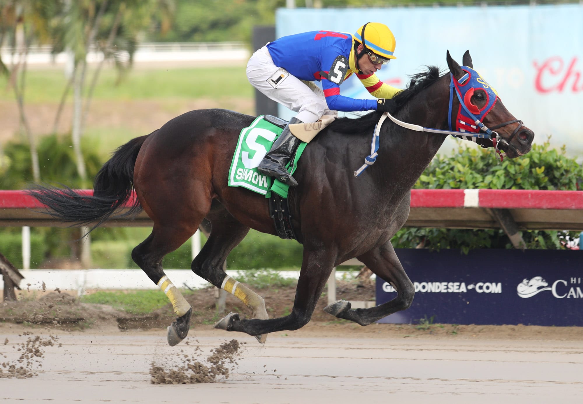 Simow - SHC Copa Velocidad 2021