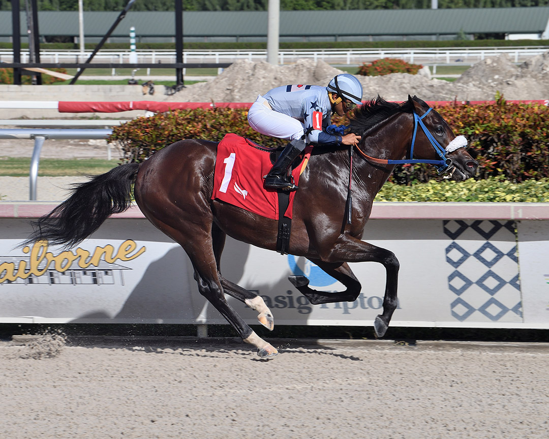 Simplification wins an Oct. 23 maiden race at Gulfstream
