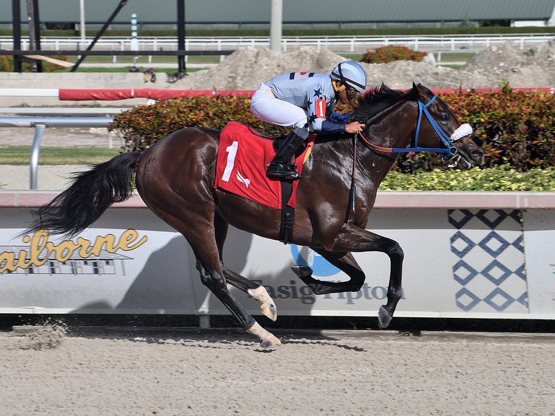 Simplification wins an Oct. 23 maiden race at Gulfstream