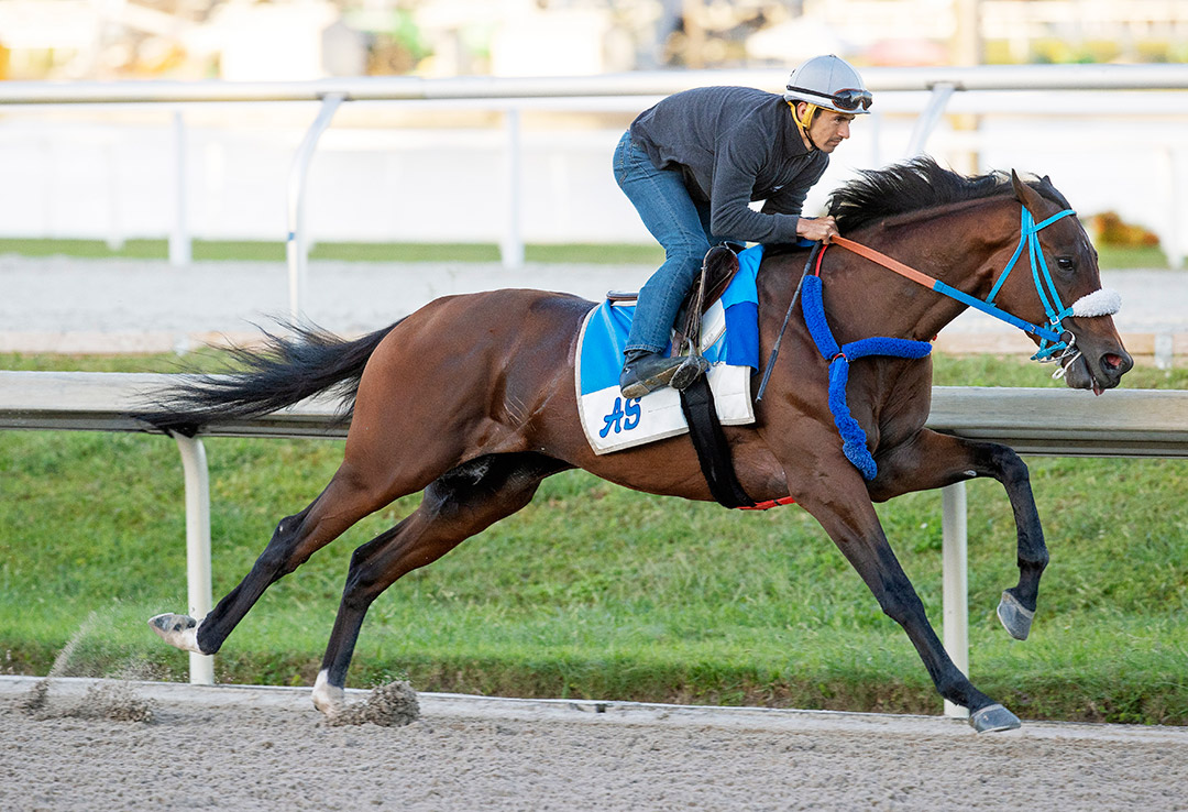 Simplification trains at Gulfstream Park on March 26