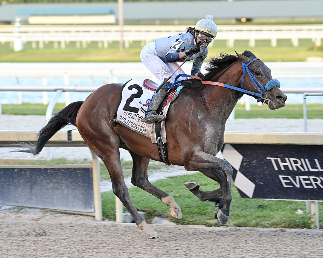 Simplification wins the 2022 Fountain of Youth Stakes at Gulfstream Park
