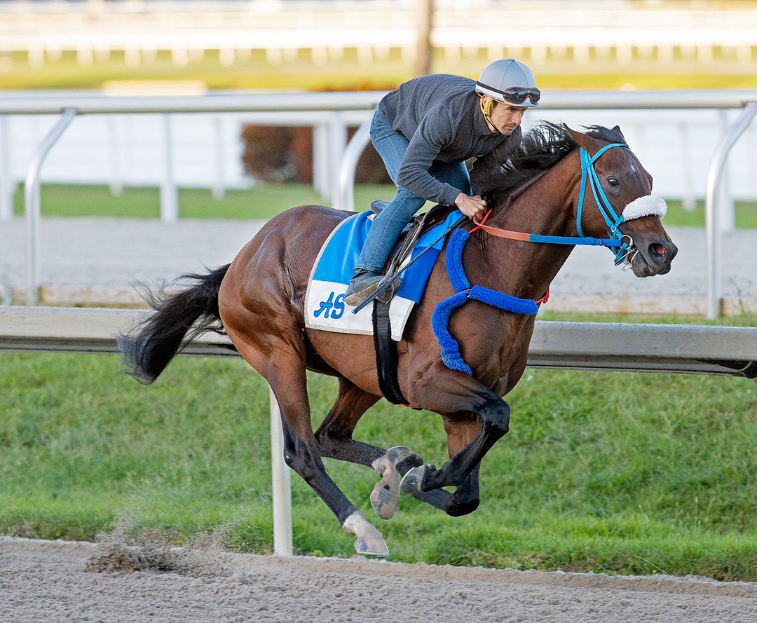 Simplification trains at Gulfstream Park on March 26