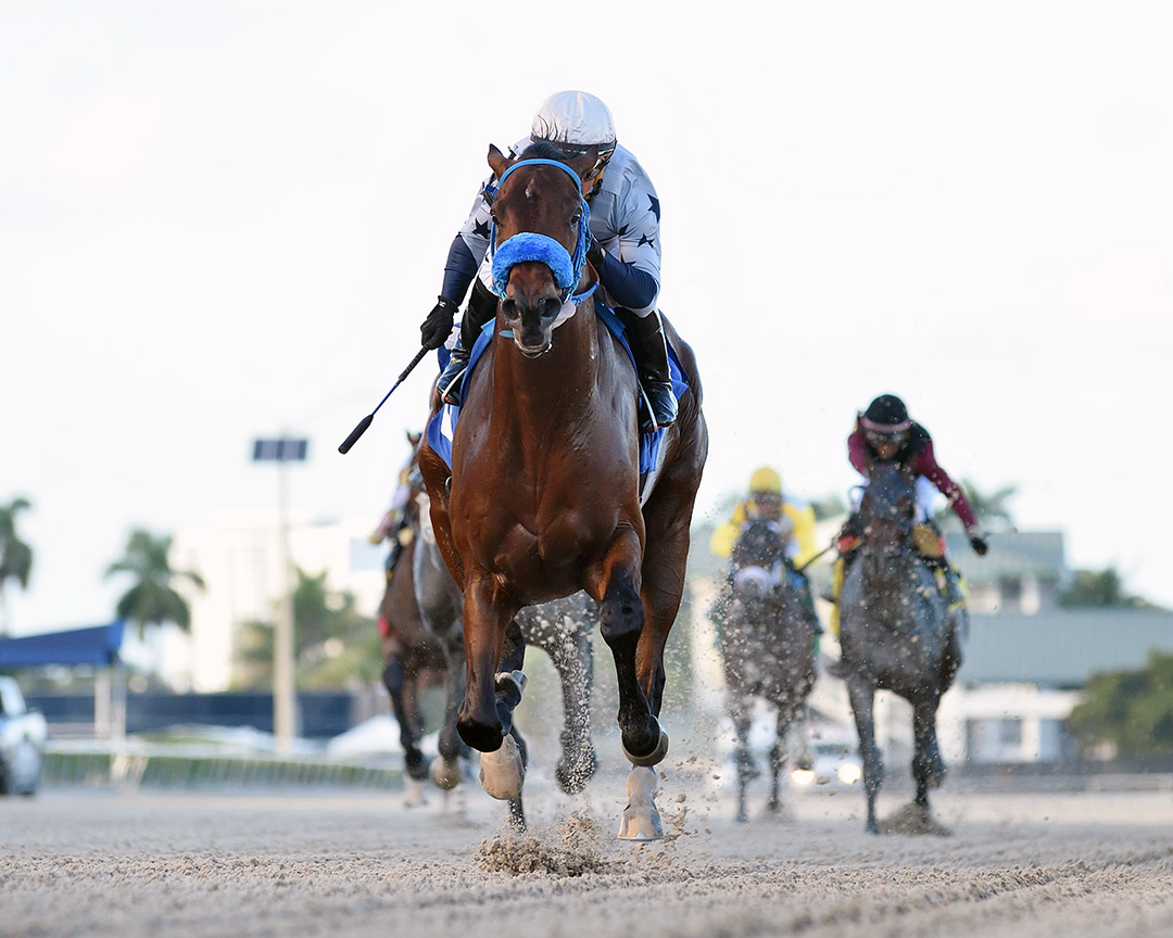 Simplification wins the 2022 Mucho Macho Man Stakes at Gulfstream