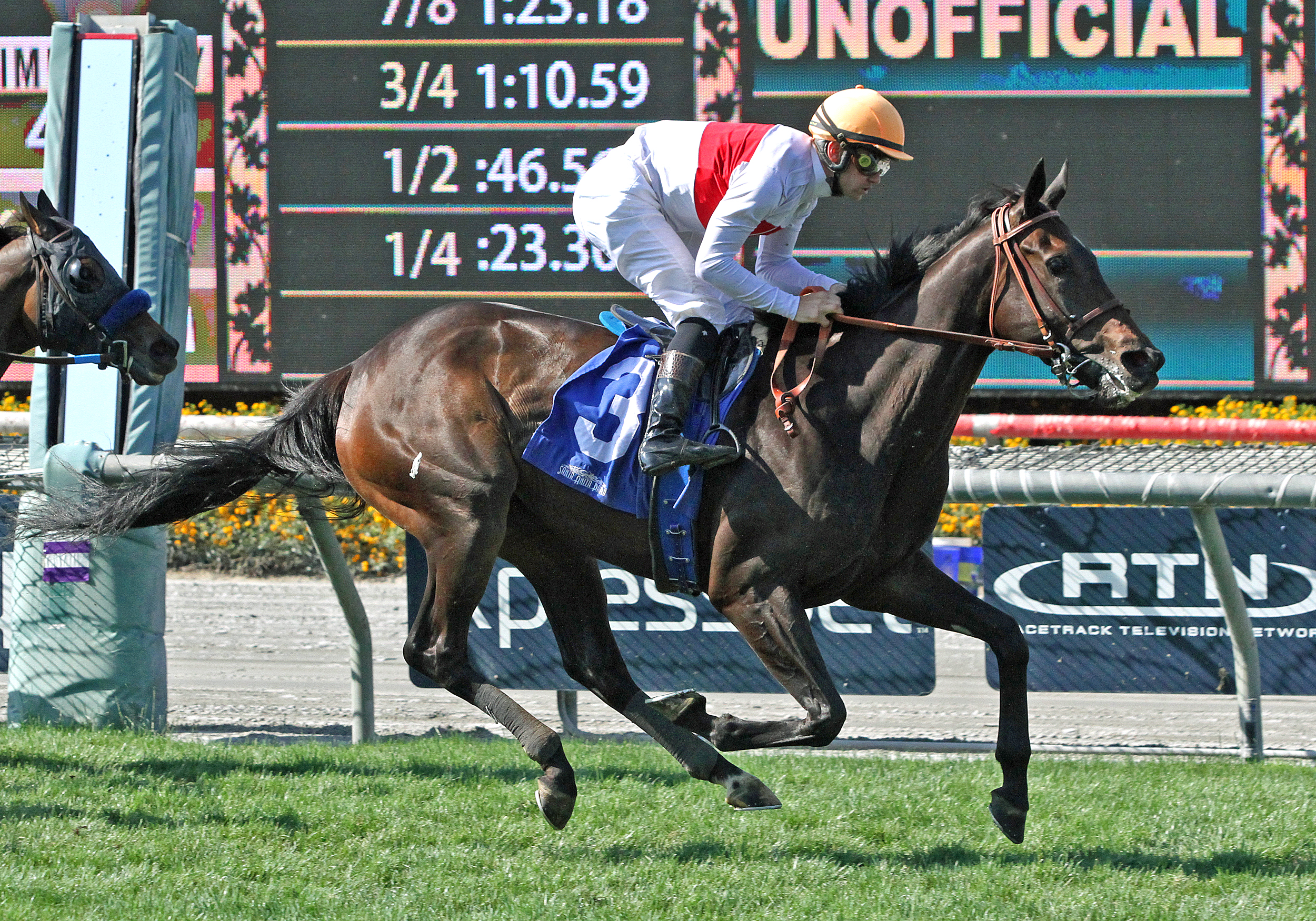 Simply Breathless wins the 2019 Wilshire Stakes
