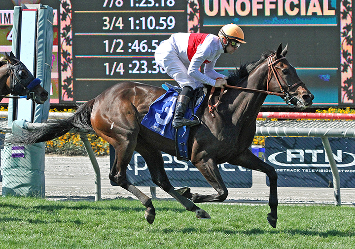 Simply Breathless wins the 2019 Wilshire Stakes at Santa Anita Park
