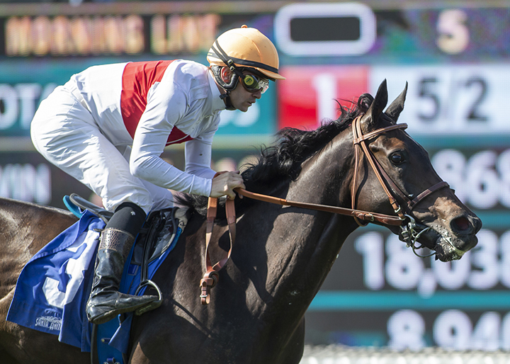 Simply Breathless wins the 2019 Wilshire Stakes