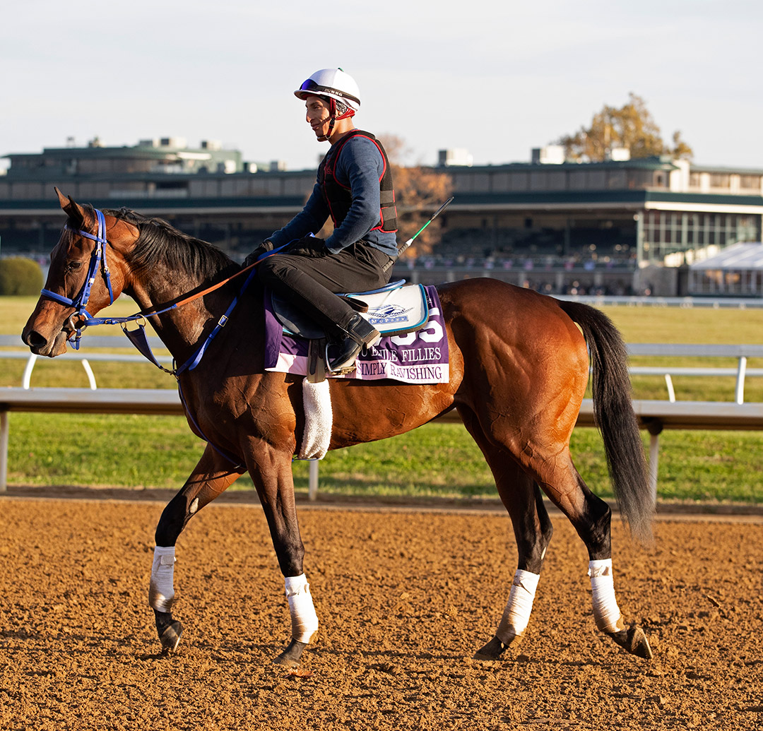 Simply Ravishing trains for the Breeders' Cup at Keeneland in November 2020