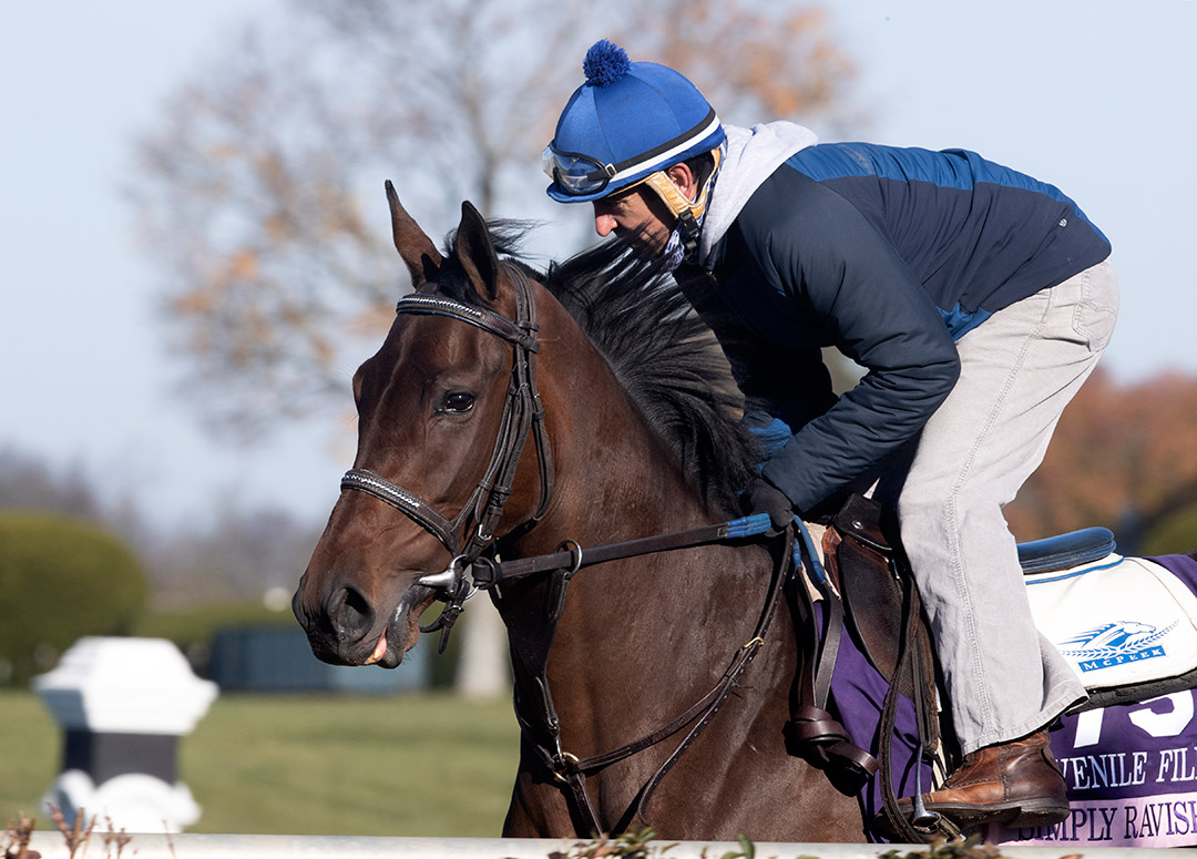 Simply Ravishing trains at Keeneland Racecourse on Nov. 2