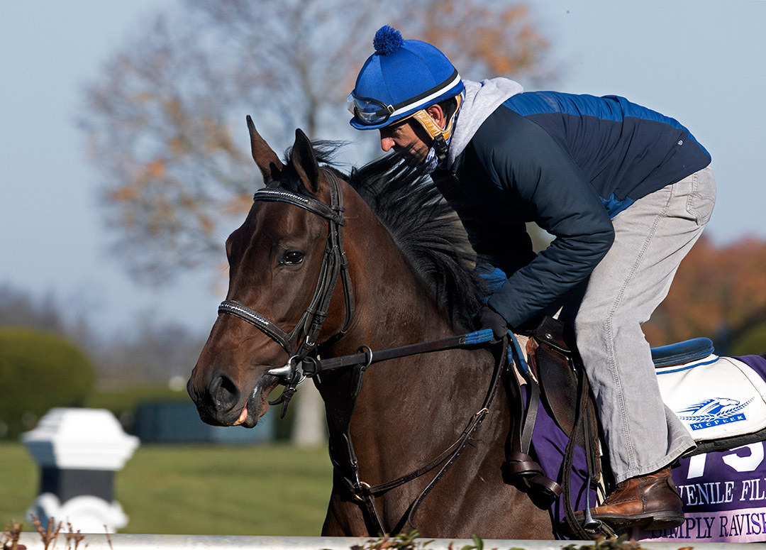 Simply Ravishing trains at Keeneland Racecourse on Nov. 2