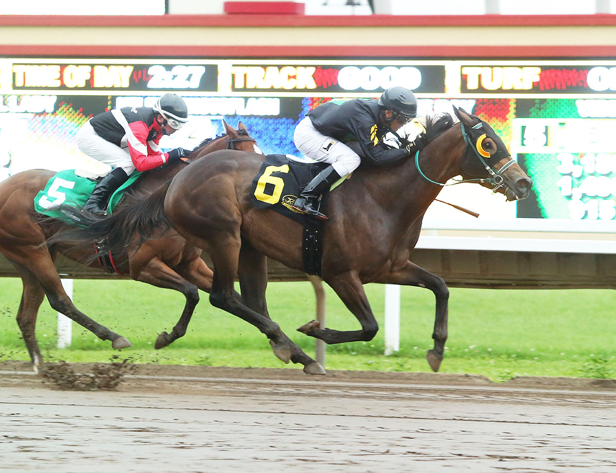 Simran wins the 2018 Frances Genter
