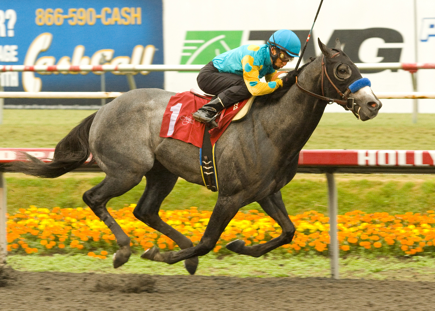 Sinai