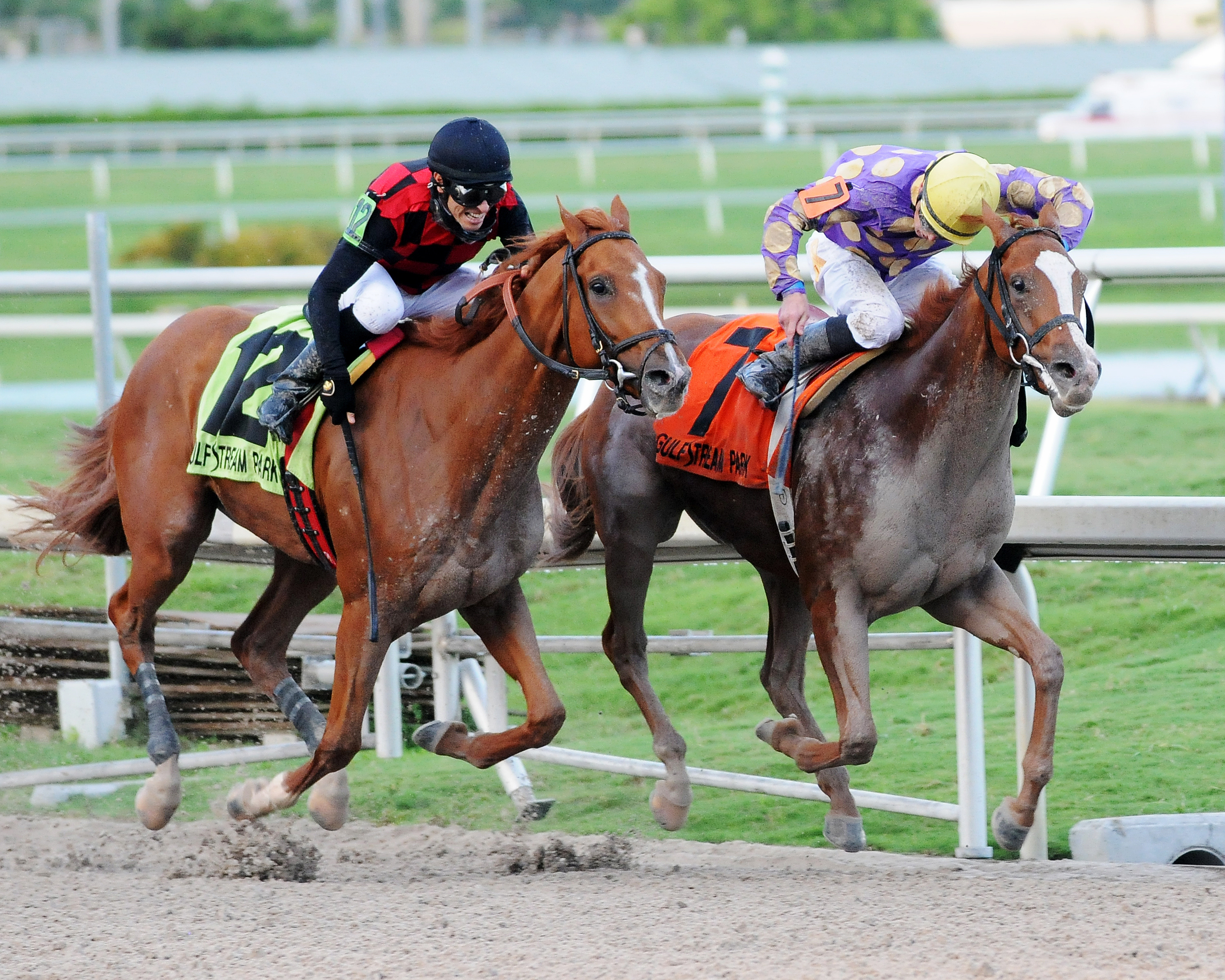 Sing Praises wins the In Reality Stakes
