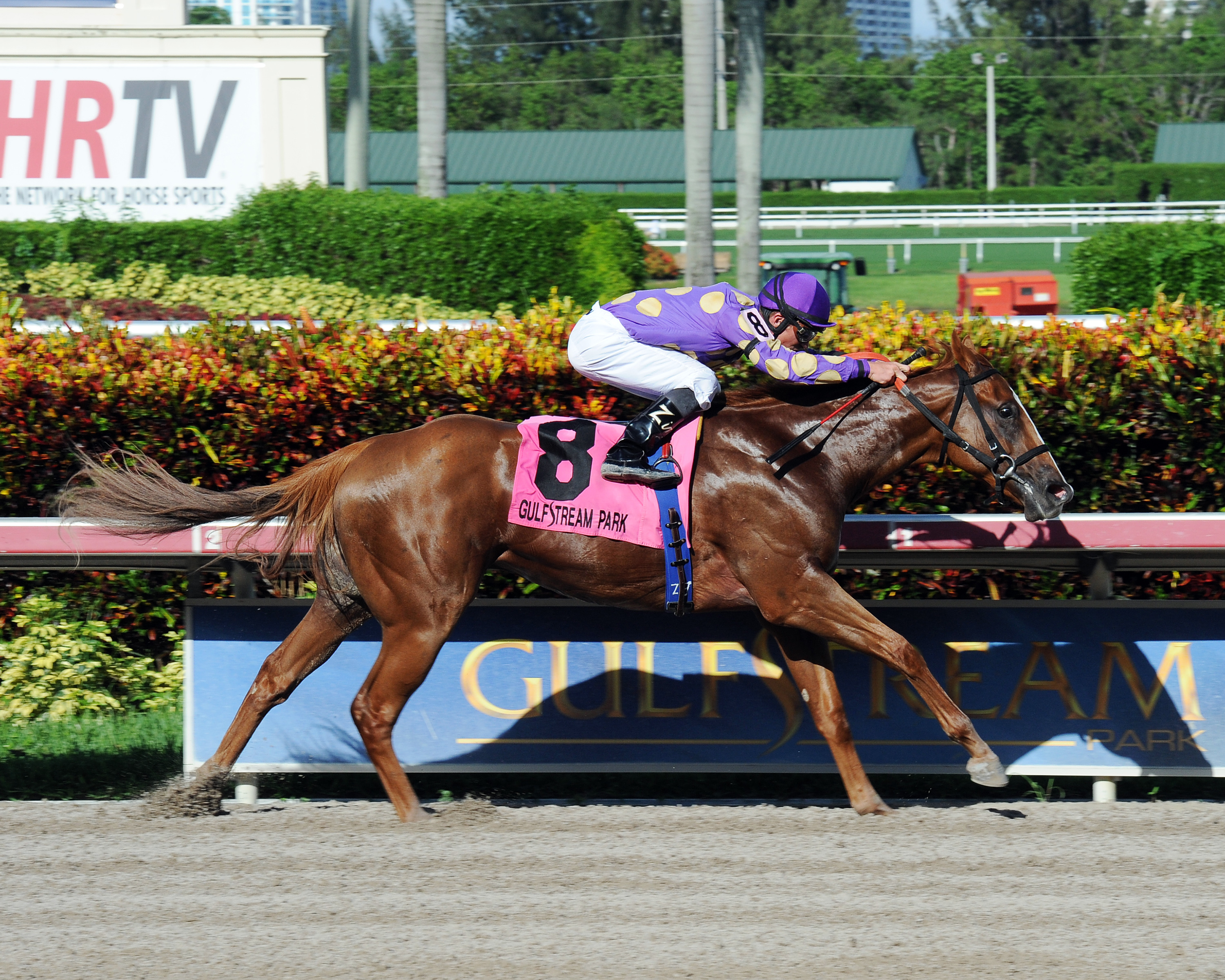 Sing Praises wins the Birdonthewire