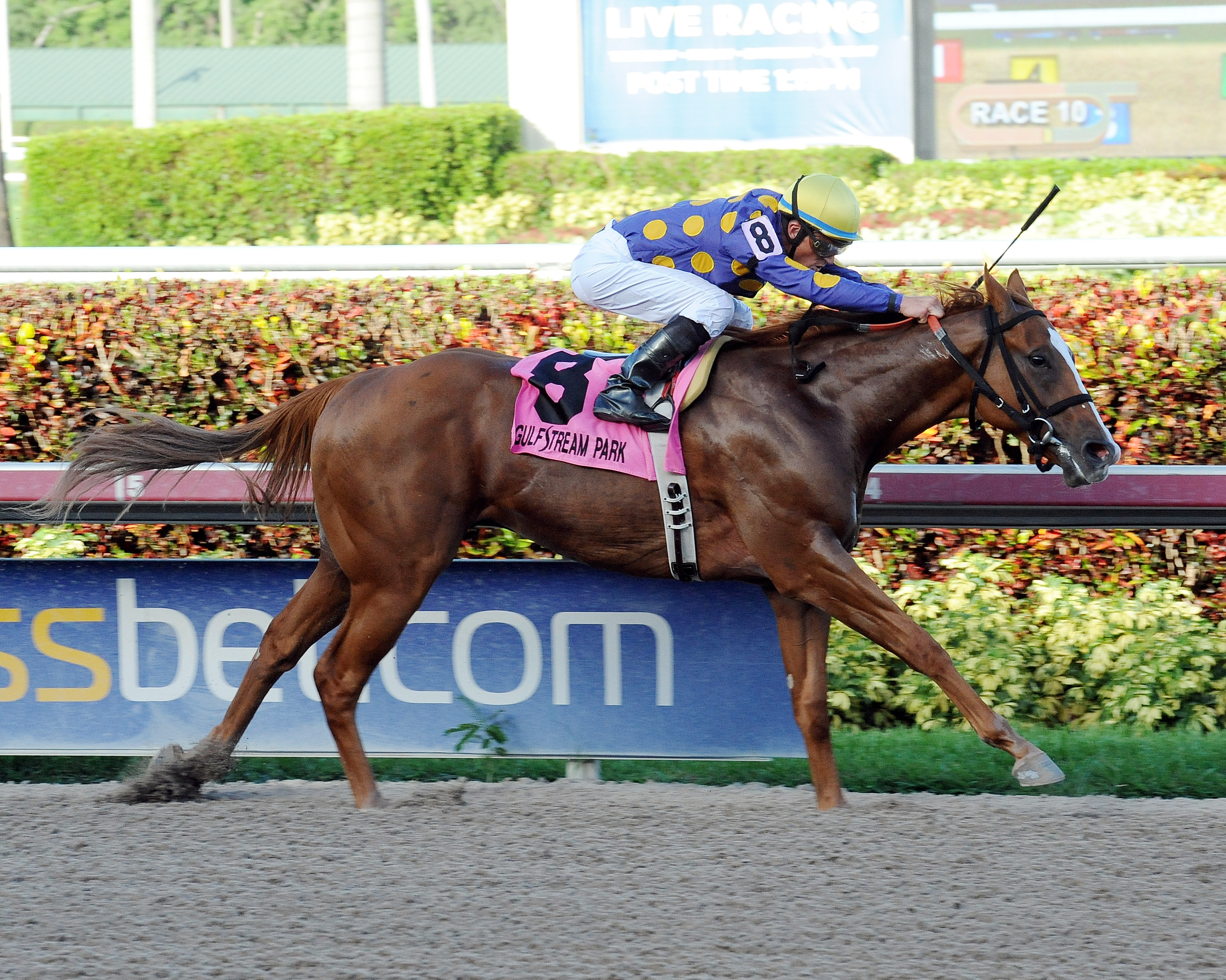 Sing Praises wins the Dr. Fager