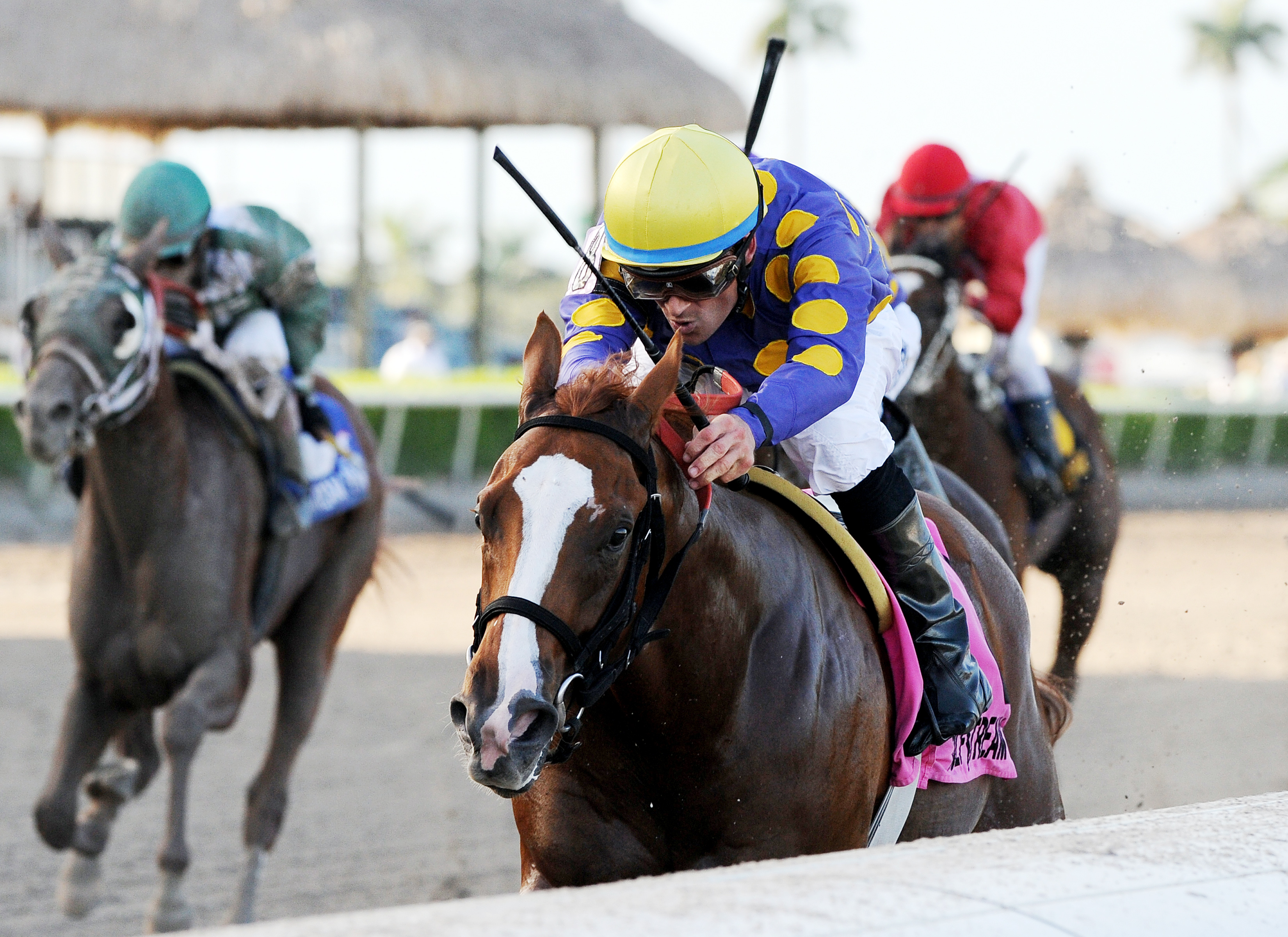 Sing Praises wins the Dr. Fager