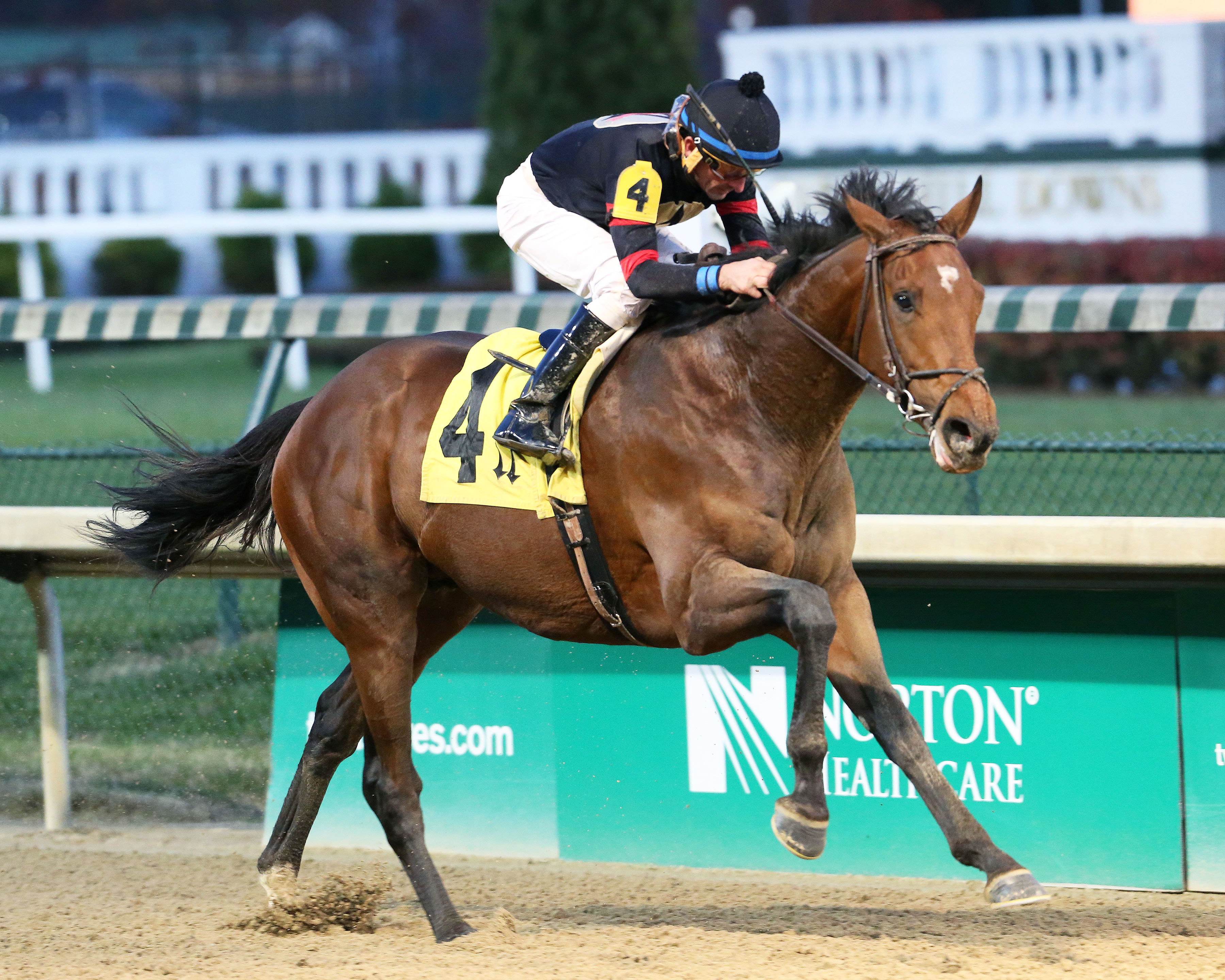 Singing Bullet wins a Nov. 26 allowance race