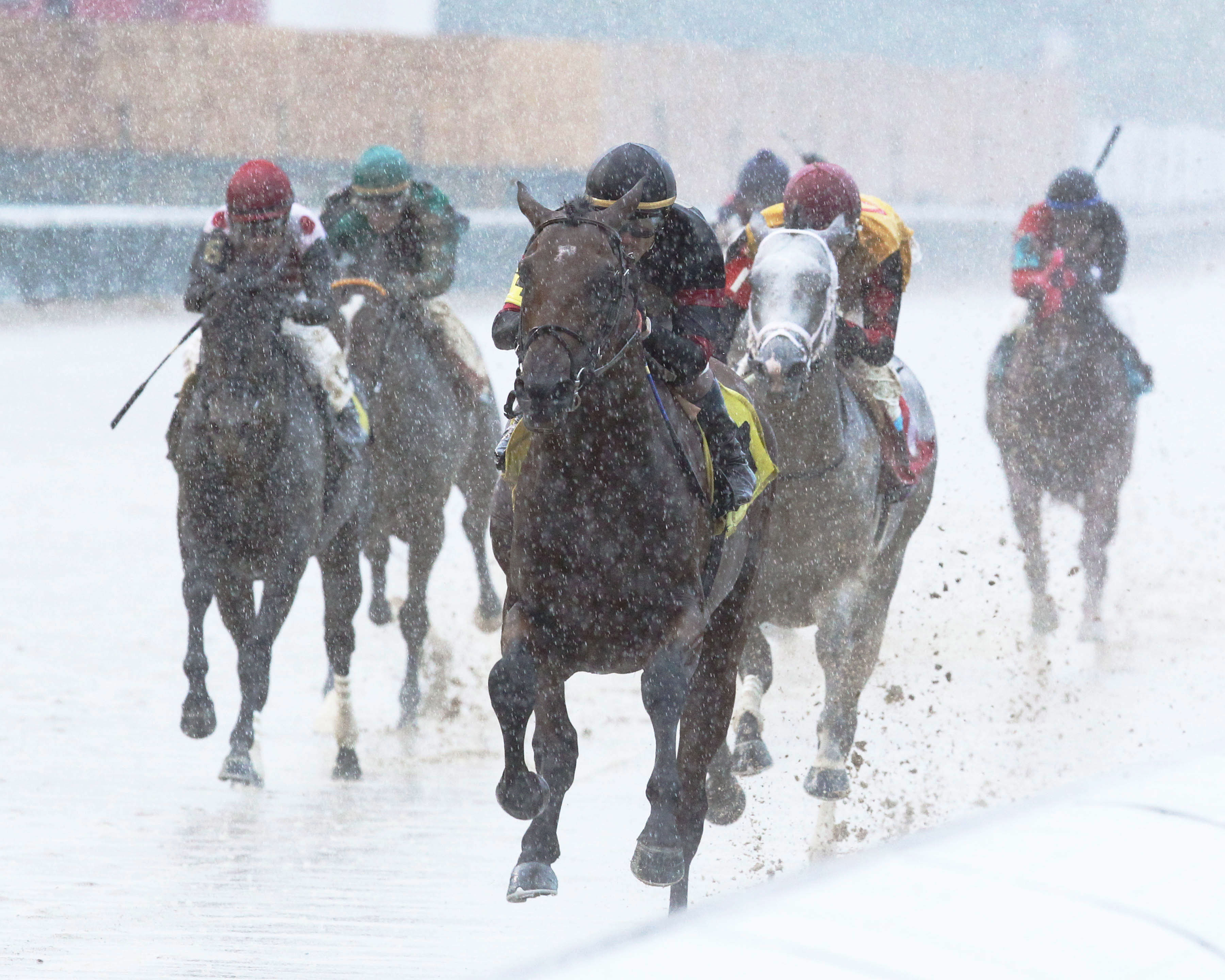 Singing Bullet wins a June 23 allowance at Churchill