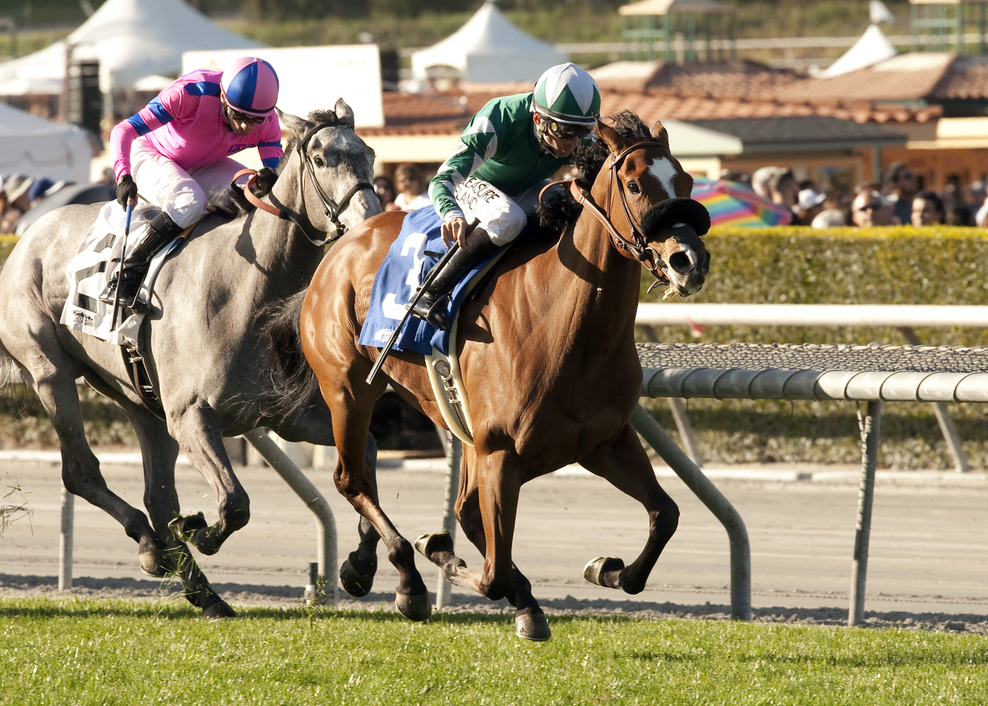 Singing Kitty wins 2015 China Doll