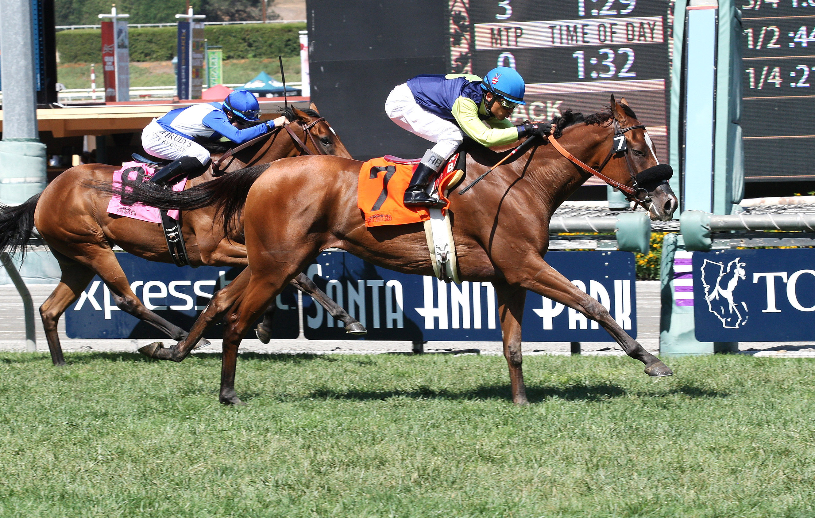 Singing Kitty wins the Unzip Me Stakes