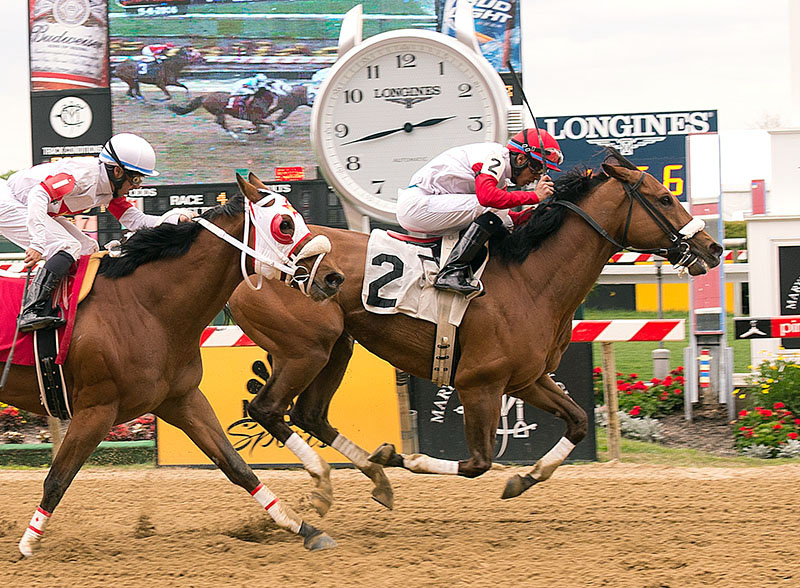 Singing My Way wins an allowance race