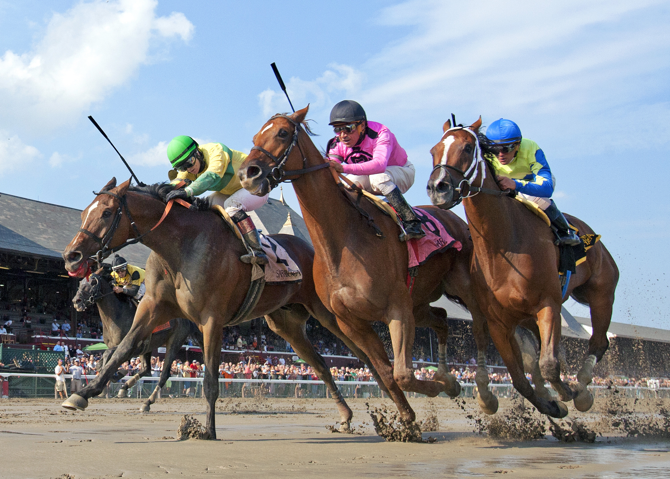 Sinistra wins the Evan Shipman