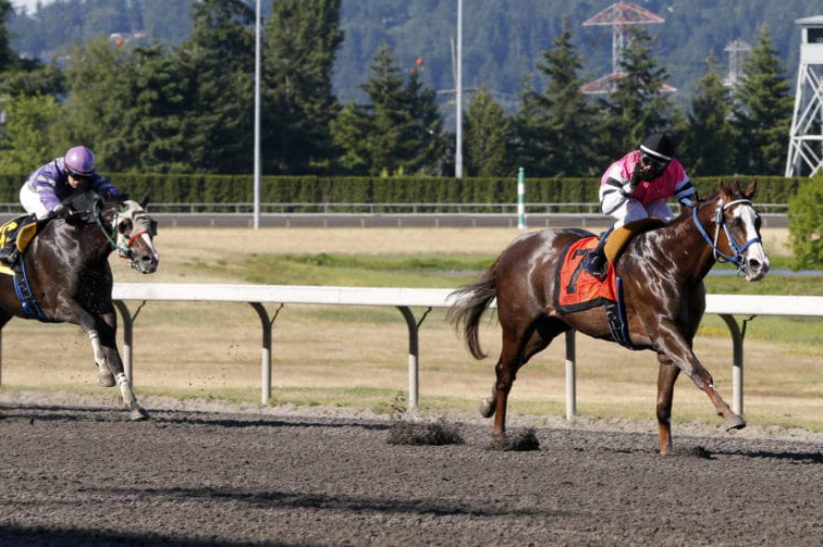 Sippin Fire wins the 2018 Coca-Cola Stakes
