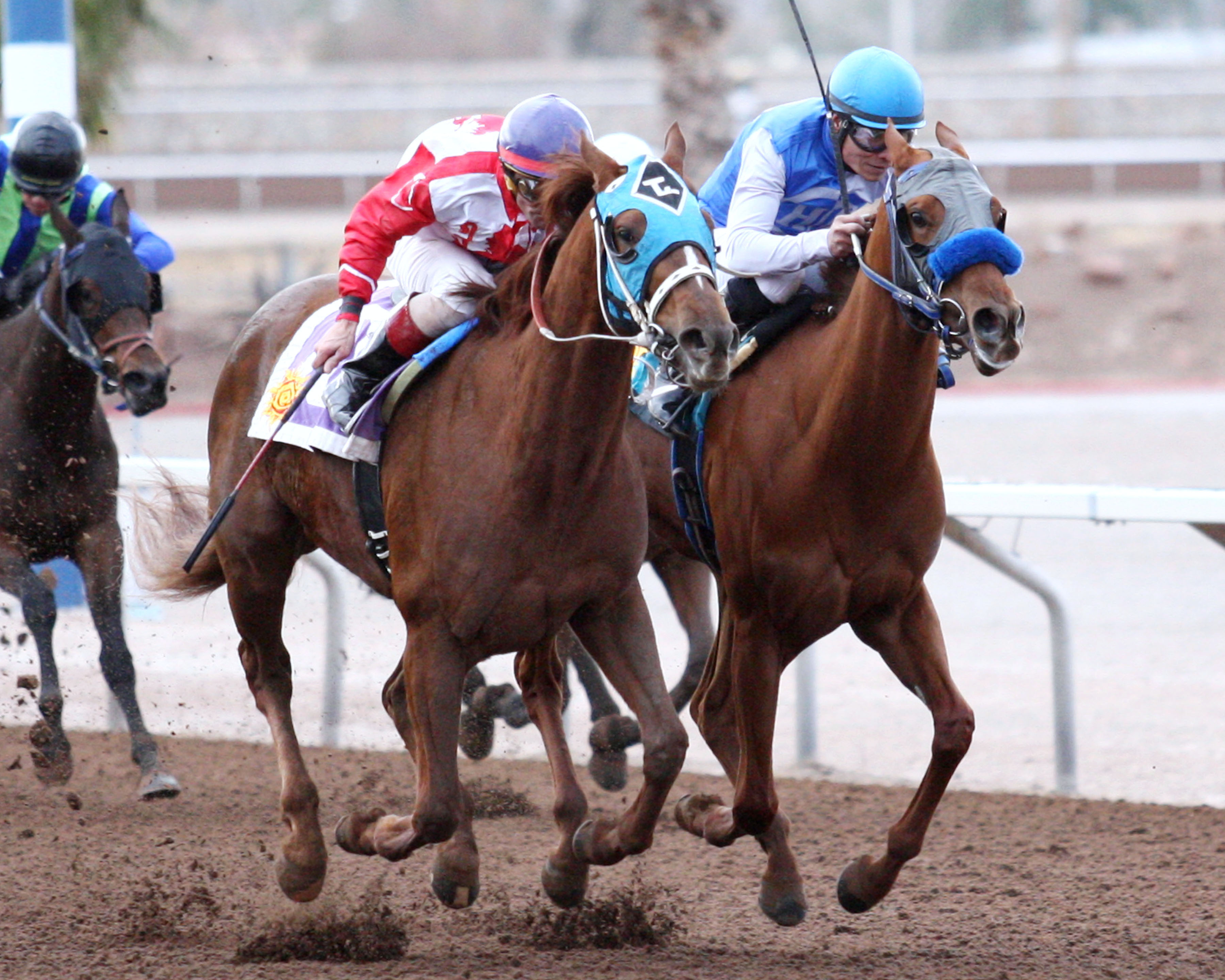 Sippin wins the La Senora Stakes