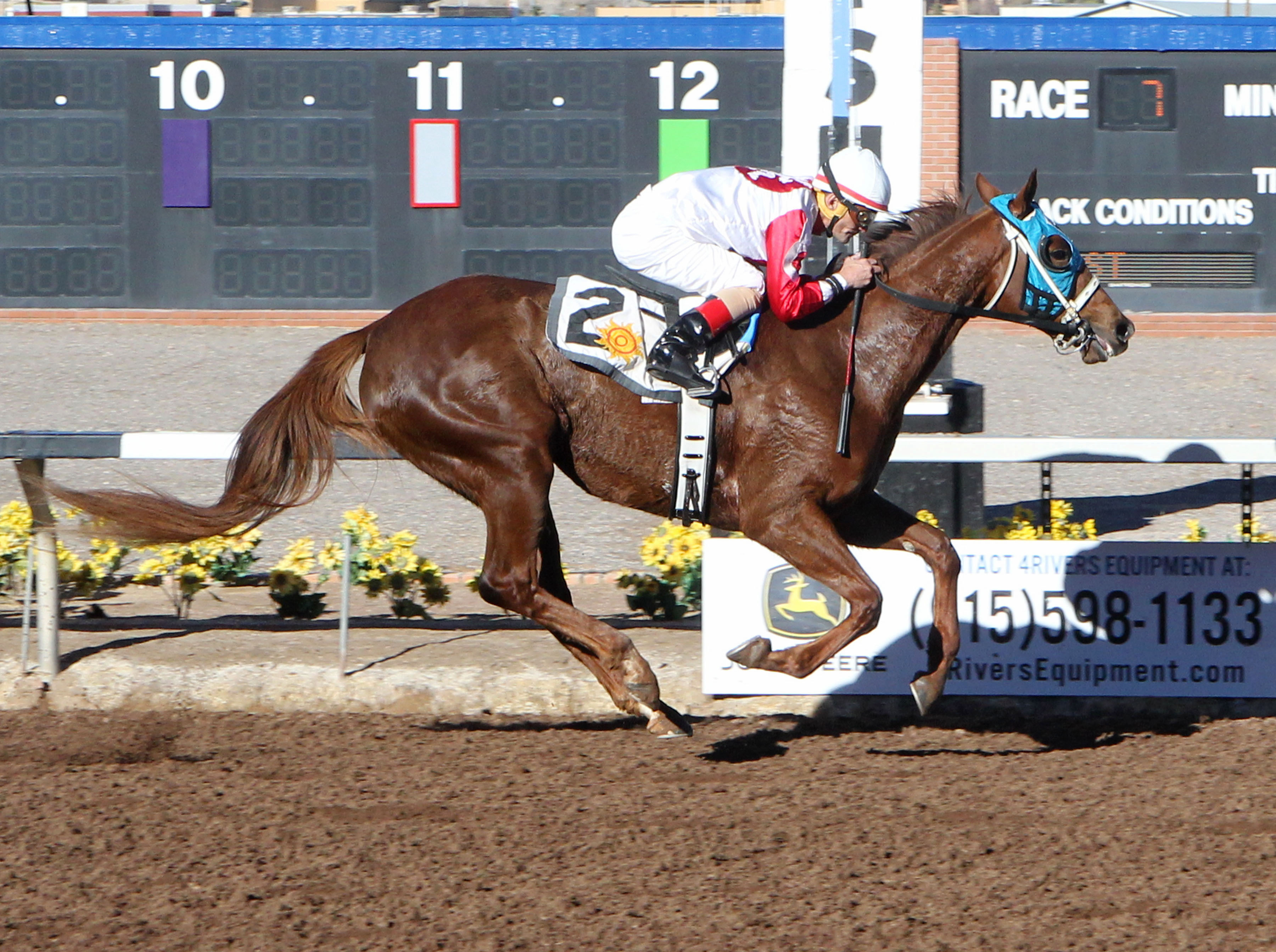 Sippin wins the 2017 Enchantress Stakes