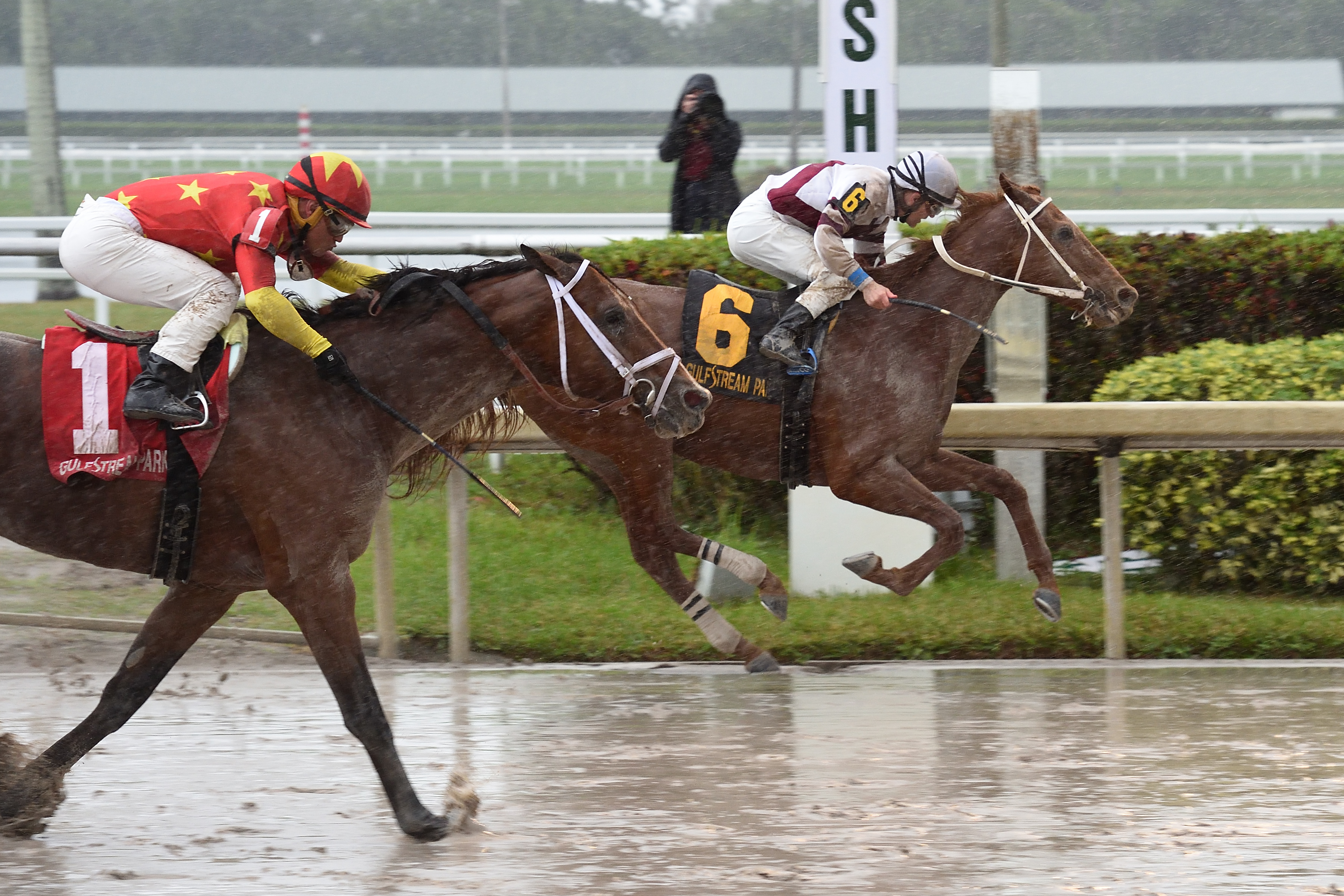 Sir Anthony wins 2018 Harlan's Holiday