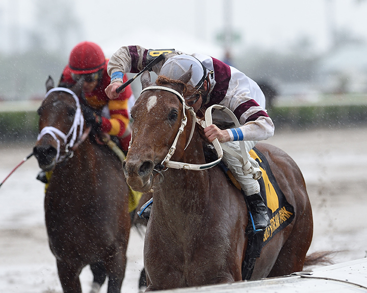 Sir Anthony wins the 2018 Harlan-s Holiday