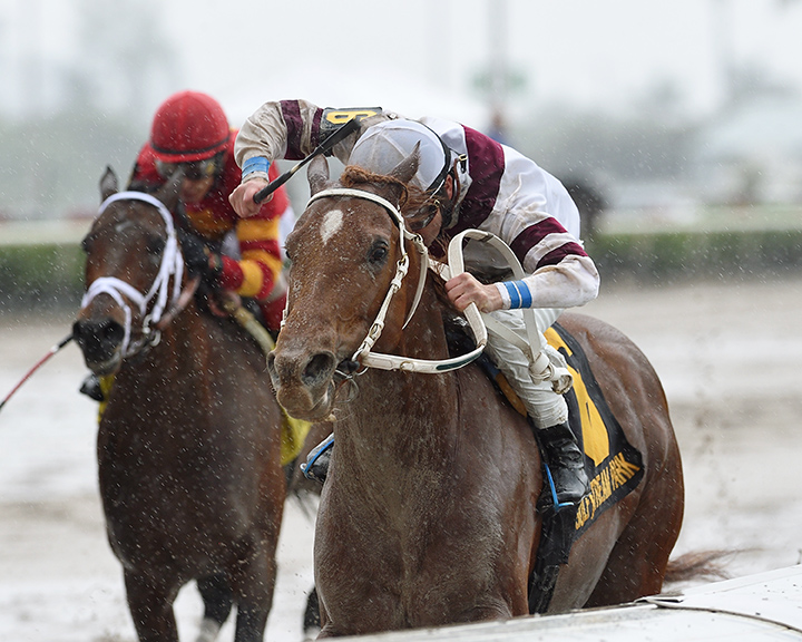 Sir Anthony wins the 2018 Harlan's Holiday